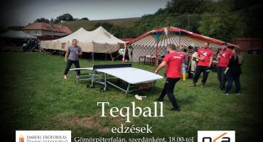 teqball